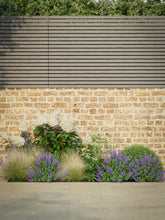 files/SotoHouse2mNarrow-1.jpg